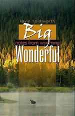 Big Wonderful