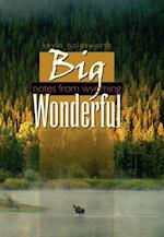 Big Wonderful