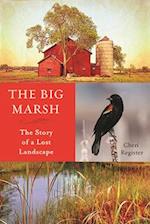 The Big Marsh