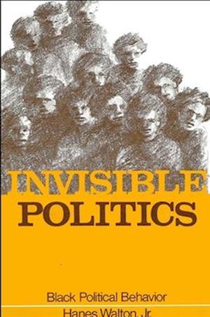 Invisible Politics