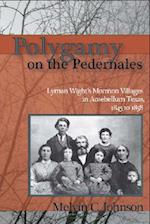 Polygamy on the Pedernales