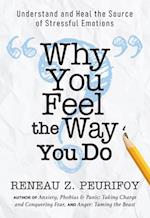 Why You Feel the Way You Do : Understand and Heal the Source of Stressful Emotions 