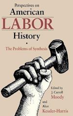 Perspectives on American Labour History