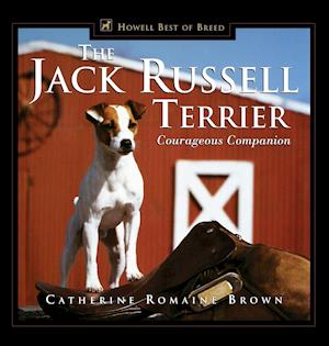 The Jack Russell Terrier