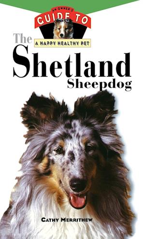 The Shetland Sheepdog