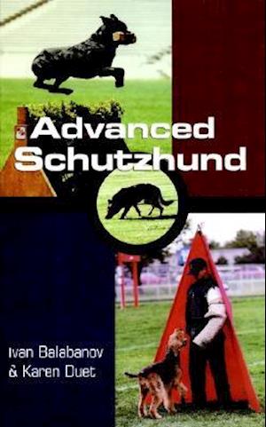 Advanced Schutzhund