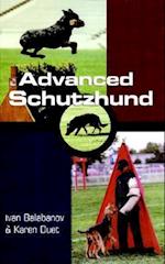 Advanced Schutzhund