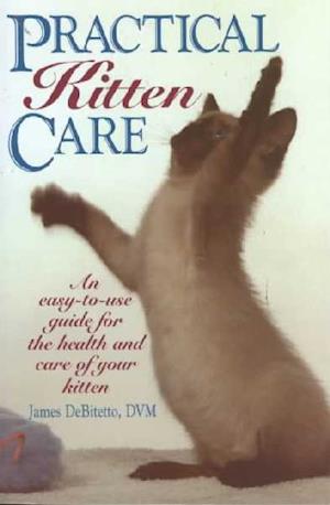 Practical Kitten Care