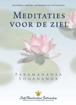 Metaphysical Meditations (Dutch)