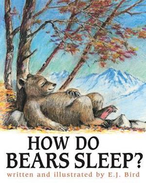 How Do Bears Sleep?