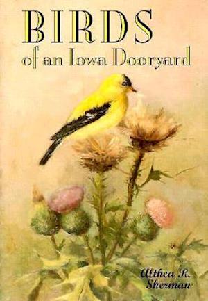 Birds of an Iowa Dooryard