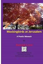 Mockingbirds at Jerusalem
