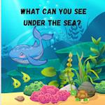 What can you see under the sea