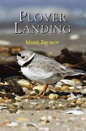 Plover Landing