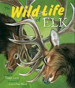 The Wild Life of Elk