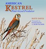 American Kestrel : Pint-Sized Predator