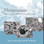Ultrastructure