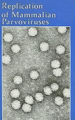 Replication of Mammalian Parvoviruses