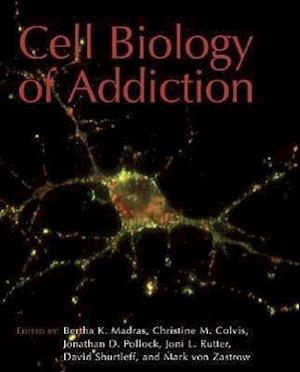 Cell Biology of Addiction