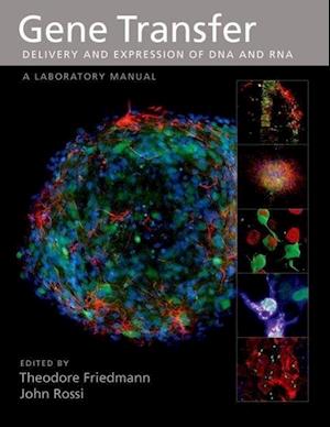 Gene Transfer