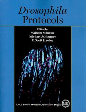 Drosophila Protocols