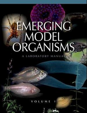 Emerging Model Organisms