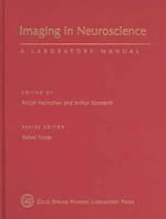 Imaging in Neuroscience