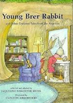 Young Brer Rabbit