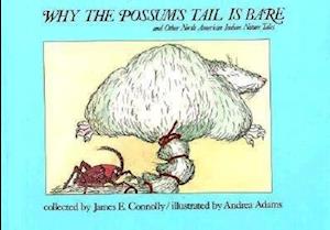 Why Possums Tail Is Bare