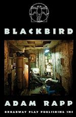 Blackbird