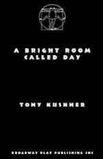 A Bright Room Called Day