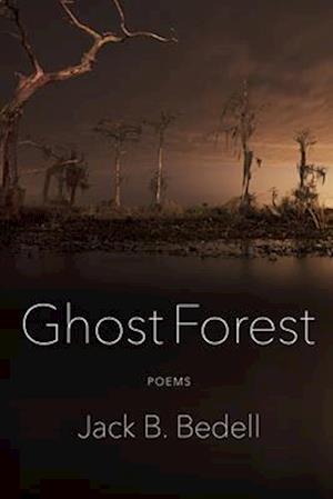 Ghost Forest