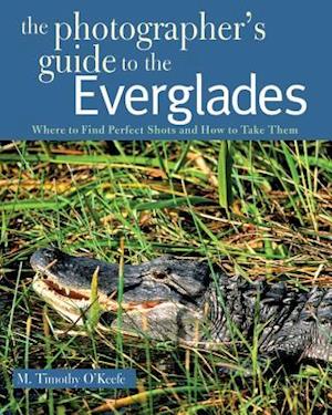 The Photographer's Guide to the Everglades