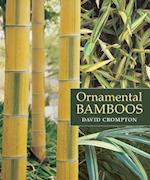 Ornamental Bamboos