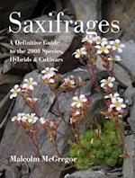 Saxifrages: The Definitive Guide to 2000 Species, Hybrids and Cultivars