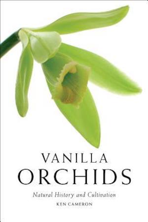 Vanilla Orchids