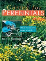 Caring for Perennials