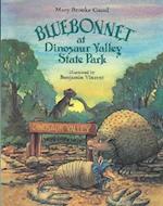 Bluebonnet at Dinosaur Valley State Park