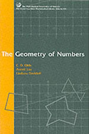 The Geometry of Numbers