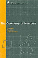 The Geometry of Numbers