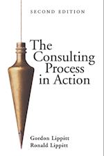 The Consulting Process In Action 2e