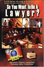 So You Want to Be a Lawyer?