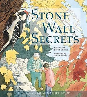 Stone Wall Secrets