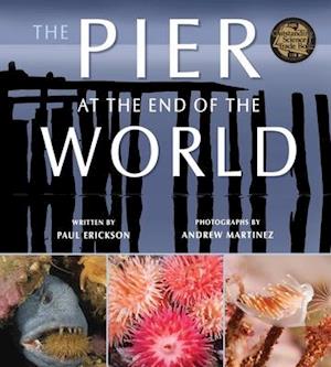 The Pier at the End of the World