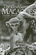 Cayo Santiago Macaques
