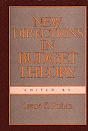 New Directions in Budget Theory