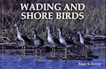 Wading and Shore Birds