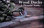 Wood Ducks a Pictorial Study