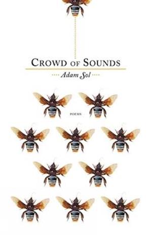 Crowd of Sounds