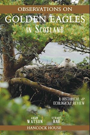 Observations of Golden Eagles in Scotland